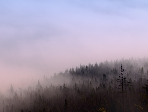 mysterious mist in the Rockies