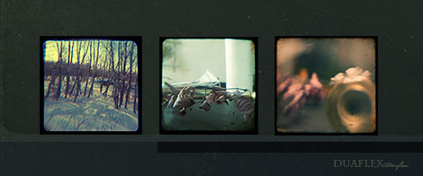 old kodak duaflex ttv triptych