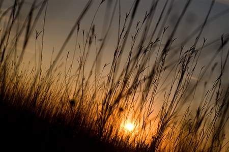 a hot summer night in the big bluestem