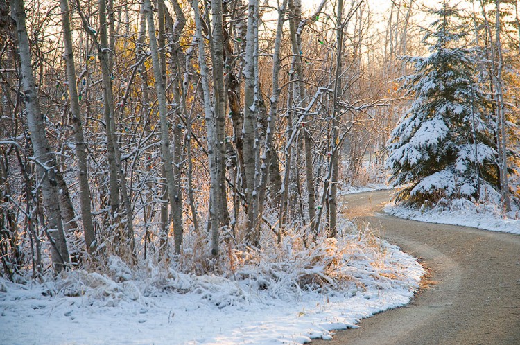 snowey morning sunrise