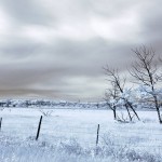 infrared prairie scene