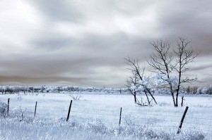 infrared prairie scene