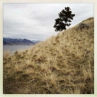 munson mountan view -nature photography bc