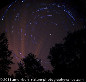 startrails